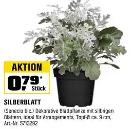 OBI SILBERBLATT Angebot