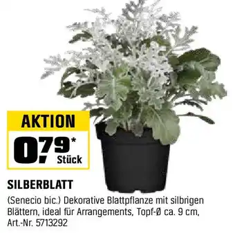 OBI SILBERBLATT Angebot