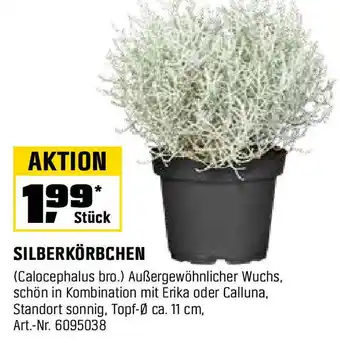 OBI SILBERKÖRBCHEN Angebot