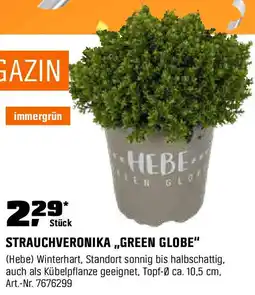 OBI STRAUCHVERONIKA „GREEN GLOBE" Angebot