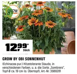 OBI GROW BY OBI SONNENHUT Angebot