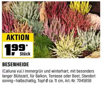 OBI BESENHEIDE Angebot