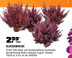 OBI GLOCKENHEIDE Angebot