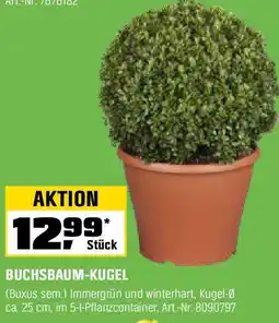 OBI BUCHSBAUM-KUGEL Angebot