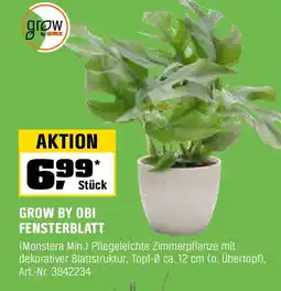 OBI GROW BY OBI FENSTERBLATT Angebot