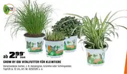 OBI GROW BY OBI VITALFUTTER FÜR KLEINTIERE Angebot