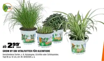OBI GROW BY OBI VITALFUTTER FÜR KLEINTIERE Angebot