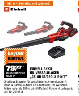 OBI EINHELL AKKU- UNIVERSALBLÄSER ,,GE-UB 18/250 LI E-KIT" Angebot