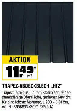 OBI TRAPEZ-ABDECKBLECH,,H12" Angebot