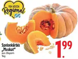 Edeka Speisekürbis Muskat Angebot