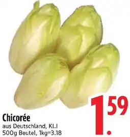 Edeka Chicorée Angebot