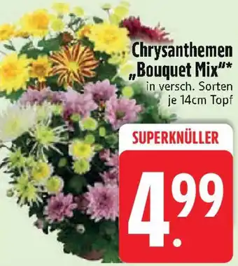 Edeka Chrysanthemen „Bouquet Mix" Angebot