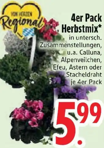 Edeka 4er Pack Herbstmix Angebot