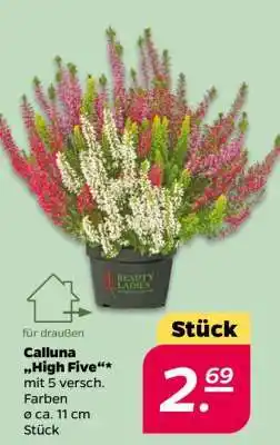 NETTO Calluna „High Five“ Angebot