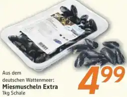 inkoop Miesmuscheln Extra Angebot