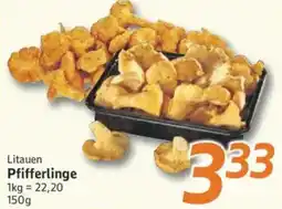 inkoop Litauen Pfifferlinge Angebot
