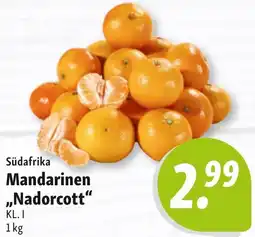 Nah & Frisch Südafrika Mandarinen ,,Nadorcott" Angebot
