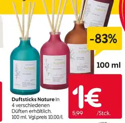 Rusta Duftsticks nature Angebot