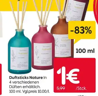 Rusta Duftsticks nature Angebot