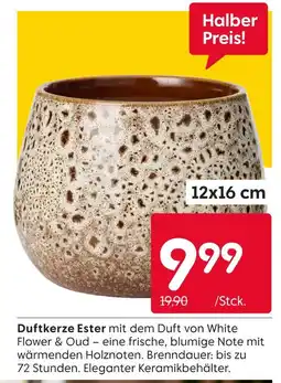 Rusta Duftkerze ester Angebot