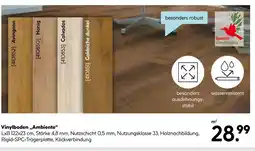 Hellweg Specht vinylboden avignon Angebot
