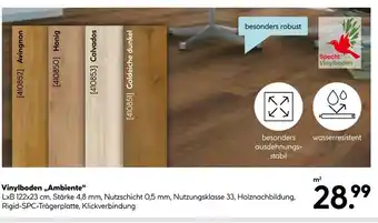 Hellweg Specht vinylboden avignon Angebot