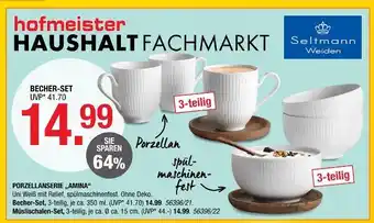 Hofmeister Seltmann weiden porzellanserie „amina“ Angebot
