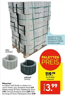 Hellweg Pflanzring grau Angebot