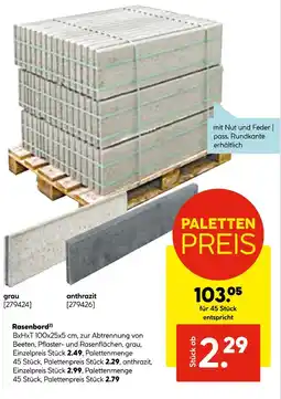 Hellweg Rasenbord grau Angebot