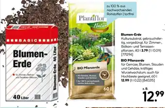 Hellweg Blumen-erde Angebot