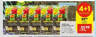 Hellweg Compo sana qualitäts-blumenerde Angebot