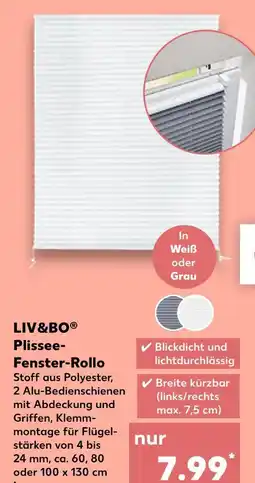 Kaufland Liv&bo plissee-fenster-rollo Angebot