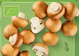Aldi Nord Bio Smiley Kulturchampignons Angebot