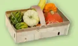 Aldi Nord Gardenline Zierkürbis-Mix Angebot