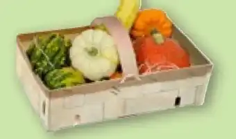 Aldi Nord Gardenline Zierkürbis-Mix Angebot