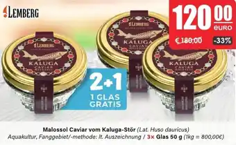 LEDO LEMBERG Malossol Caviar vom Kaluga-Stör Angebot