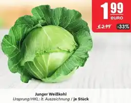 LEDO Junger Weiẞkohl Angebot