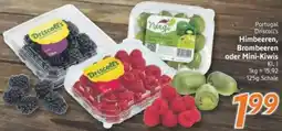 inkoop Portugal Driscoll's Himbeeren, Brombeeren oder Mini-Kiwis Angebot
