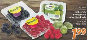 inkoop Portugal Driscoll's Himbeeren, Brombeeren oder Mini-Kiwis Angebot