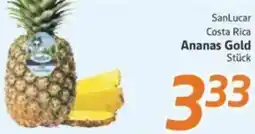 inkoop SanLucar Costa Rica Ananas Gold Angebot
