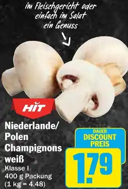 HIT Niederlande/Polen Champignons weiß Angebot