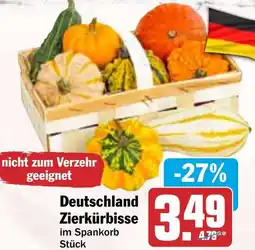 HIT Deutschland Zierkürbisse Angebot