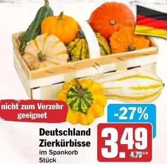 HIT Deutschland Zierkürbisse Angebot