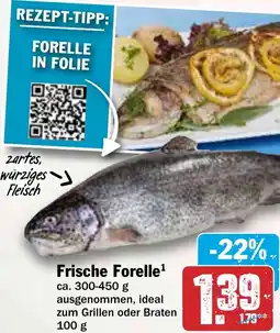HIT Frische Forelle Angebot