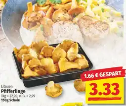 NP Discount Litauen Pfifferlinge Angebot