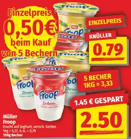 NP Discount Müller Froop Angebot