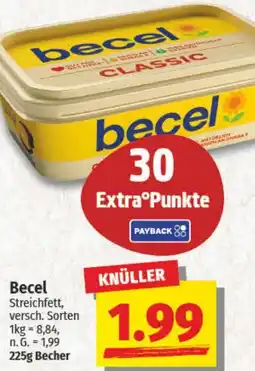 NP Discount Becel Streichfett Angebot