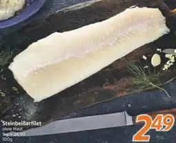 inkoop Steinbeiẞerfilet Angebot