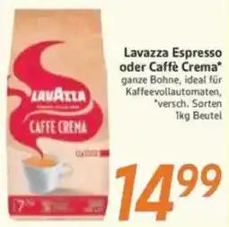 inkoop Lavazza Espresso oder Caffè Crema Angebot