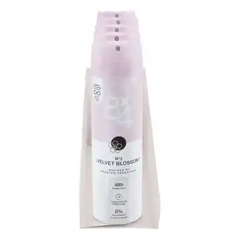 Netto Marken-Discount 8x4 Deopspray Velvet Blossom 150 ml, 6er Pack Angebot
